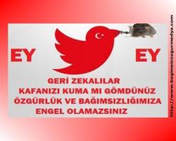 EY GERİ ZEKALILAR