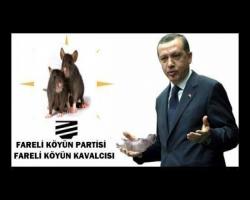İstanbul'da Fareli Köyün Parti mitingi sonrası gerginlik...