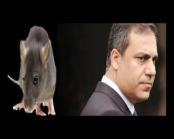 Fareli Köyün Partisi'nin savaş suçu - 2; Hakan Fidan: 'Gerekirse Süleyman Şah'ı biz bombalarız!'
