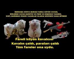 Fareli köyün kavalcısı kavalın çaldı, paraları çaldı  tüm fareler ona uydu...