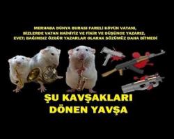 Şu kavşakları dönen yavşak