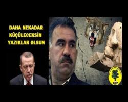 NE KADAR KÜÇÜLECEK SİN YAZIKLAR OLSUN...