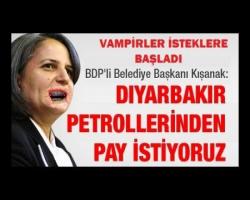 VAMPİRLER İSTEKLERE BAŞLADI
