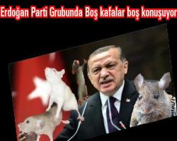 Erdoğan Parti Grubunda Boş kafalar boş konuşuyor