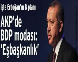 BAŞAK KAYA bildiriyor: Her zaman yazıyoruz ha o, ha bu; Fareli Köyün Kavalcısı Erdoğan’ın B planı