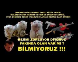 REJİMİ ZORLUYOR DİYORUZ FAKINDA OLAN VAR MI, BİLMİYORUZ..
