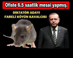 Fareli köyün kavalcısına tahsis edilen Ofiste 6.5 saatlik mesai yapmış..