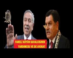 Fareli köyün kavalcısının yardımcısı ve de Avukat bu kişilik...