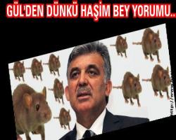 GÜL'DEN DÜNKÜ HAŞİM BEY YORUMU.....