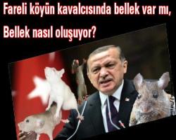 Fareli köyün kavalcısında bellek var mı, Bellek nasıl oluşuyor?
