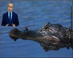 Timsah gözyaşı döken; Arınç canlı yayında gündem değiştirmeye uğraşıyor...