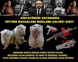 DİKTATÖRÜN VATANINDA  THY'NİN HAVAALANI REKLAMI ÇALINTI ÇIKTI