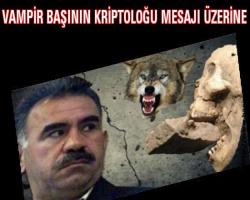 Vampir uşakları PKK şantiye basıp iş makinalarını yaktı