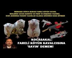 KOCASAKAL: FARELİ KÖYÜN KAVALCISINA 'SAYIN' DEMEM!
