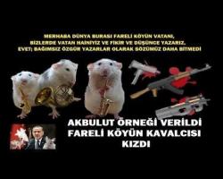 AKBULUT ÖRNEĞİ VERİLDİ FARELİ KÖYÜN KAVALCISI KIZDI