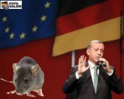 'Erdoğan, kolonisini ziyaret eder gibi Köln'e geldi, masrafları karşılasın'