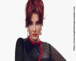 Ünlü olmak göreceli bir kavramdır; Ünlü şarkıcı hakkında 'yakalama' kararı!