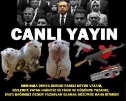 CANLI YAYIN MÜDAHALE BAŞLADI
