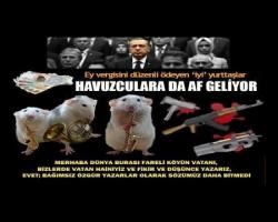 Çiğdem Toker Bildiriyor; Havuzcular da Affediliyor 