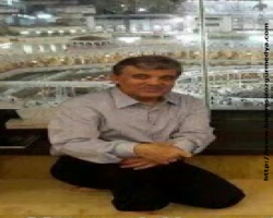 Çakma hacı Gül'den Sisi'ye tebrik mesajı...