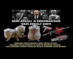 GERİ ZEKALI  O ERDOĞAN'DAN 'GEZİ ZEKALI' ÇIKTI
