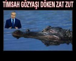 Timsah gözyaşı döken Arınç'tan İhsanoğlu açıklaması: Böyle bir adayın..