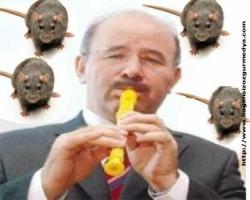 Kavalcı ve diktatör yardımcısı Hüseyin Çelik: Suçlu Maliki, Irak bölündü