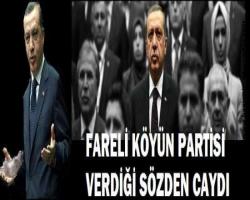 FARELİ KÖYÜN PARTİSİ VERDİĞİ SÖZDEN CAYDI