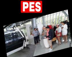 Uludağ'da yüzlerce ağaç katledildi: 'Pes' dedirtecek savunma