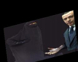 Laham farelerinin bol olduğu yerde kar Fatmalar türer; 