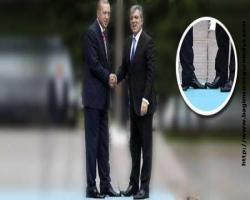Altı soruda Gül'ün Fareli Köyün Partisne dönüş kararı