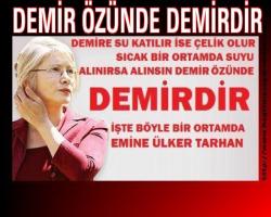 DEMİR ÖZÜNE DEMİRDİR 