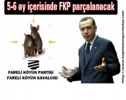 Sizlerin kurumunuzu kim kurdu sorusu sorulduktan sonra; 5-6 ay içerisinde FKP parçalanacak