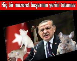 ‘Peygamber efendimizi bile desteklemeyenler oldu’