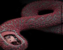 Uyarı; Ebola, Demokratik Kongo Cumhuriyeti’ne sıçradı...