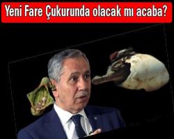 Yeni fare kovuğunda timsah gözyaşı döken Arınç olacak mı acaba? 