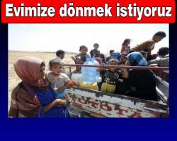 Irak'taki azınlıklar artık Sünni Araplarla yaşamak istemiyor