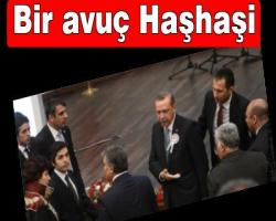 Rezillik diz boyu olunca;Erdoğan'ndan 'Feyzioğlu konuşacak' diyen Yargıtay'a: Bir avuç Haşhaşi  