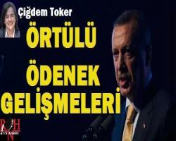 Örtülü Ödenek Gelişmeleri
