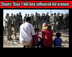 Duyuru: Köşe 1 kilo kına yollayacak kul aranıyor