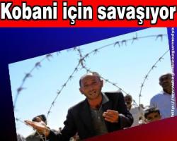 Kobani için savaşıyor