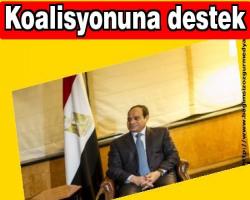 Koalisyonuna destek