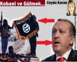 Kobani ve Gülmek...