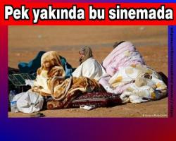 Irak'ta IŞİD Narko-terörünün bilançosu...