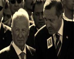 Erdoğan üniversiteleri