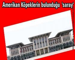 Adı resmen Amerikan Köpeklerin bulunduğu  'saray'