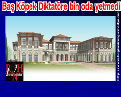 Baş Köpeğe  bin oda yetmedi 