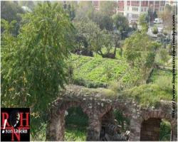 Topların başın'dan Yedikule bostanı ile ilgili flaş açıklama 