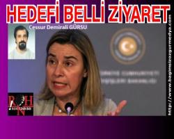 HEDEFİ BELLİ ZİYARET