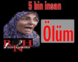 5 bin insan